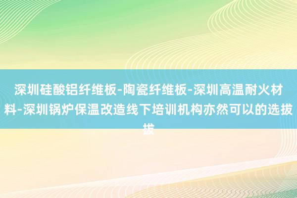 深圳硅酸铝纤维板-陶瓷纤维板-深圳高温耐火材料-深圳锅炉保温改造线下培训机构亦然可以的选拔
