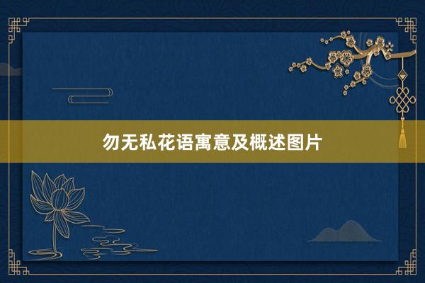勿无私花语寓意及概述图片