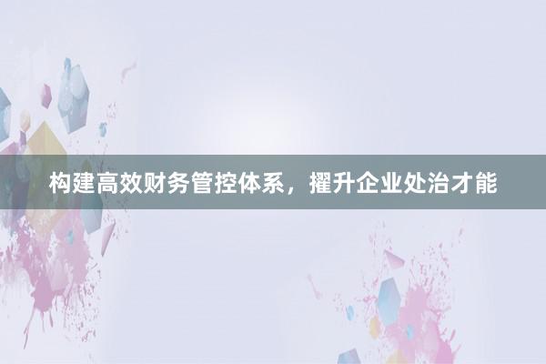 构建高效财务管控体系，擢升企业处治才能