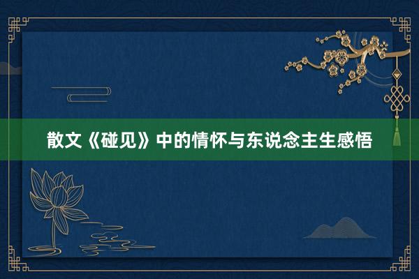 散文《碰见》中的情怀与东说念主生感悟